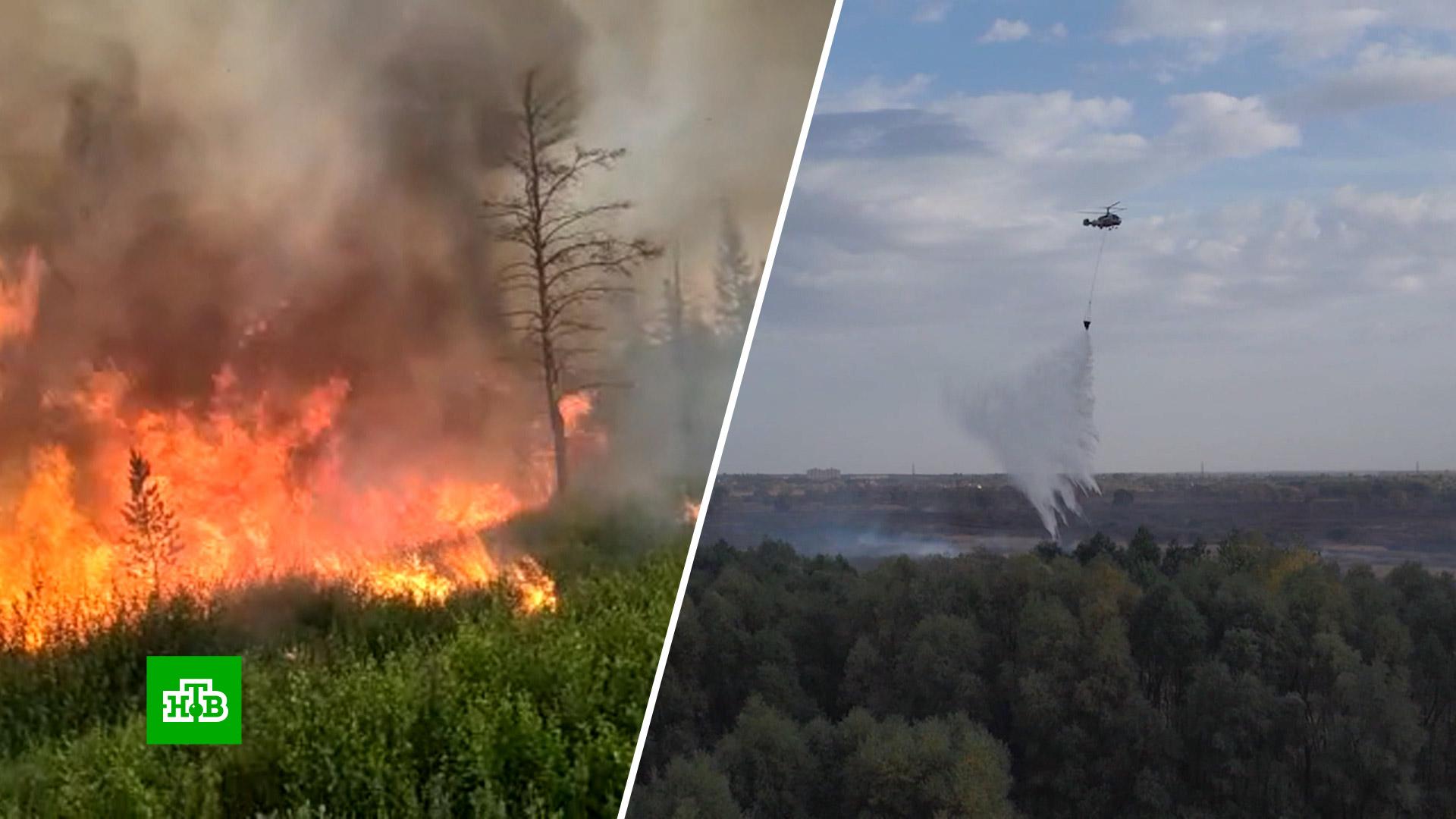 Карта лесных пожаров хабаровский край