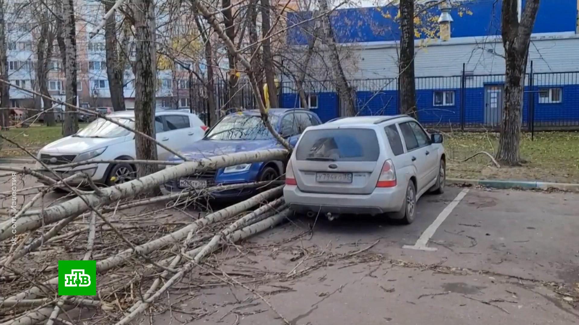 Новости Порно Вирус В Москве