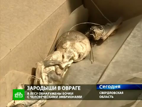      ., ,  , ..Ru: , ,   