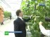 Огуречные плантации напомнили Медведеву о приходе весны