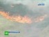 Пожары сожгли сотни гектаров леса в США