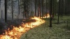 Пожирающий леса огонь остановят беспилотники