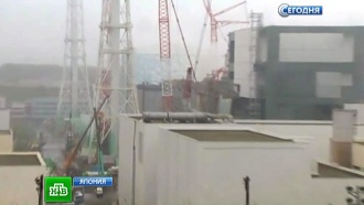Над опасной «Фукусимой» навис странный пар