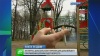 Плата за дым: петербуржцев заставят не курить в подъездах и рядом с детьми