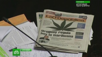 В легализации марихуаны в Уругвае узрели руку американских миллиардеров