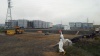 Ликвидатора засыпало песком в яме на АЭС «Фукусима-1»