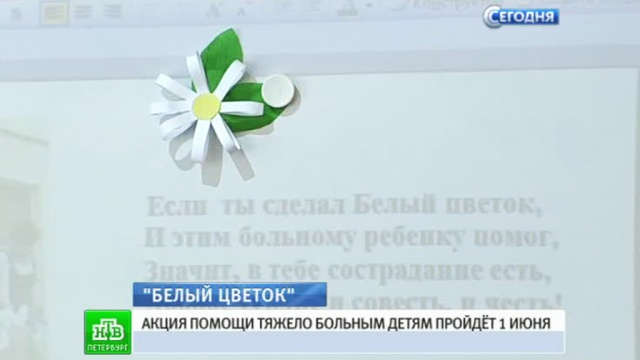 В День защиты детей в городе на Неве раздадут «белые цветки».Санкт-Петербург, благотворительность, дети, онкология, хосписы.НТВ.Ru: новости, видео, программы телеканала НТВ