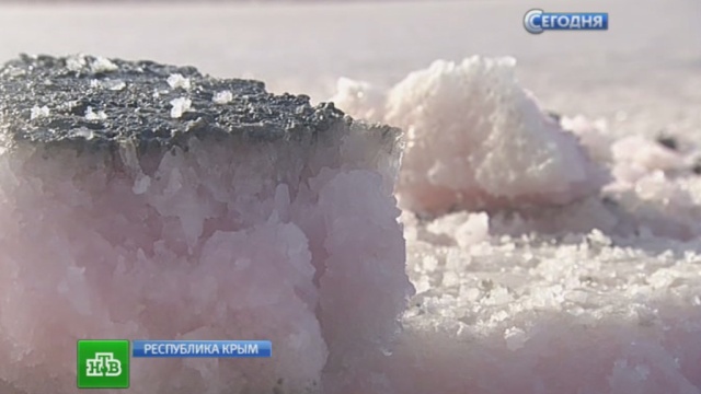 В Крыму возрождают добычу уникальной розовой соли.Крым, реки и озера.НТВ.Ru: новости, видео, программы телеканала НТВ