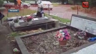 Неизвестные вандалы осквернили десятки могил на русском кладбище в Сиднее