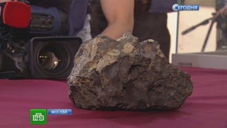 Москвичам привезли чудодейственный фрагмент челябинского метеорита