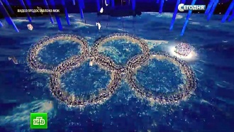 Олимпийский огонь спустя год после Игр продолжает гореть в сердцах миллионов российских болельщиков