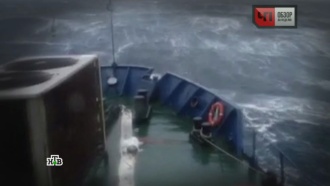 Обнаруженный в Охотском море предмет оказался грузовым поддоном