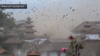 Непальское землетрясение обрушило храм на головы прохожих