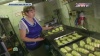 Воронежскую семью могут посадить в тюрьму за продажу булочек с маком