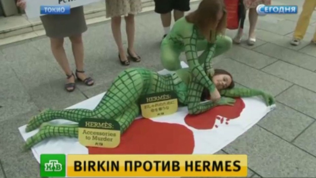 Кровавое видео с убийством крокодилов шокировало икону стиля Джейн Биркин.дизайн, животные, знаменитости, крокодилы, мода, скандалы.НТВ.Ru: новости, видео, программы телеканала НТВ