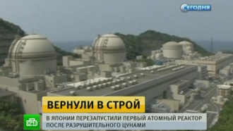 В Японии впервые после аварии на «Фукусиме» запустили атомный реактор