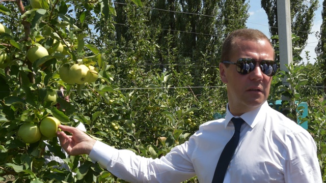 Дефицита нет: Медведев доволен импортозамещением мяса, фруктов и овощей.Европа, Медведев, продукты, санкции, сельское хозяйство.НТВ.Ru: новости, видео, программы телеканала НТВ