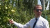 Дефицита нет: Медведев доволен импортозамещением мяса, фруктов и овощей