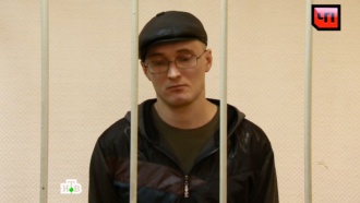 За сорванный концерт Макаревича активист отсидит за решеткой 3 года