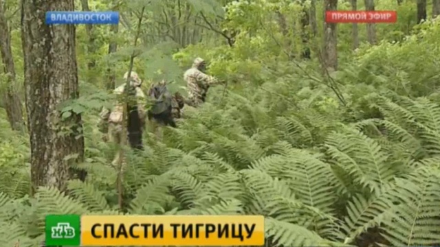        ., , , , ..Ru: , ,   