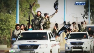 Боевики «Исламского государства» навлекли неприятности на Toyota