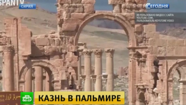 Боевики ИГ уничтожили колонны в Пальмире во время казни.Исламское государство, Сирия, взрывы, памятники, терроризм.НТВ.Ru: новости, видео, программы телеканала НТВ