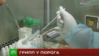 Эксперт призвал защищаться от свиного гриппа с помощью прививок