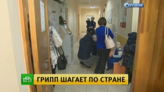 В Москве началась эпидемия гриппа