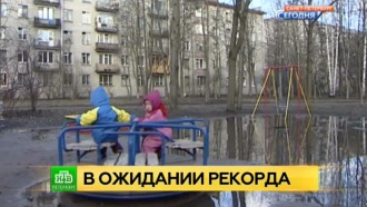 Весенний февраль: погода в Петербурге бьет очередные рекорды
