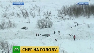 Власти Кировска объяснили, почему лавина не остановилась у дамбы