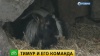 В Приморье пройдет конкурс невест для козла Тимура