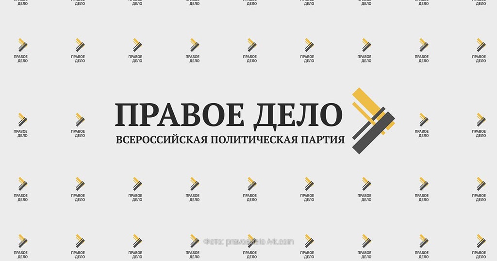 Правое дело предложение. Правое дело партия. Партия правовое дело. Программа партии правое дело. Правая тело.