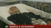 Потеря памяти: зачем Украина объявила войну мумиям