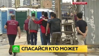 Сотни гастарбайтеров выдворят за нарушения из строительного городка под Петербургом