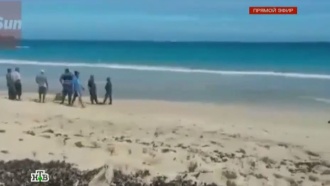 Убитые на Фиджи россияне могли стать жертвами каннибалов