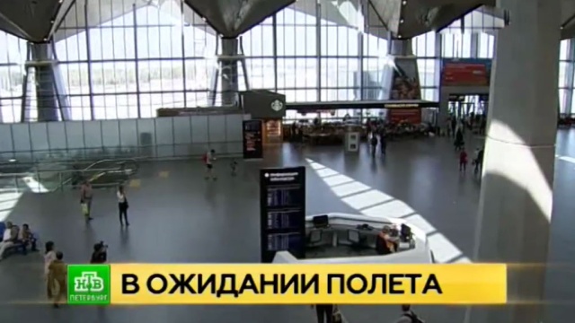 Петербуржцы не могут вылететь в Болгарию более 16 часов.Болгария, Санкт-Петербург, авиация, аэропорты, туризм и путешествия.НТВ.Ru: новости, видео, программы телеканала НТВ