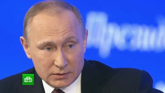 Путин об ужесточении наказания для живодеров: «Я бы поддержал»