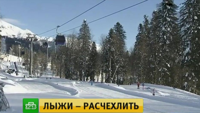 Экстрим, хаски и горные няни: в горно-туристическом центре «Газпром» в Сочи официально стартовал сезон.Сочи, горные лыжи, курорты, лыжный спорт, туризм и путешествия.НТВ.Ru: новости, видео, программы телеканала НТВ