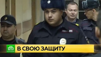 Арестованный за мошенничество бизнесмен обратился к петербургскому губернатору