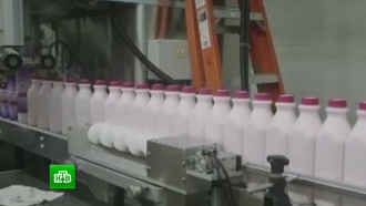 Производители молочных продуктов предупредили Ткачёва о риске дефицита и роста цен