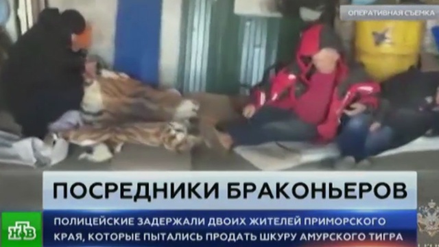           . , , , , , , ..Ru: , ,   