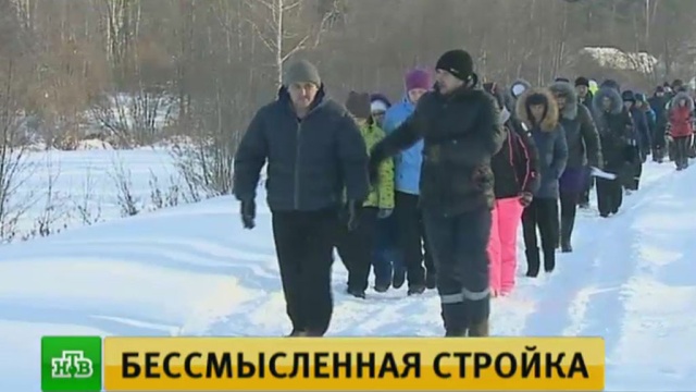Власти Ирбита предложили многодетным семьям поселиться в лесу.Свердловская область, жилье, многодетные, скандалы.НТВ.Ru: новости, видео, программы телеканала НТВ