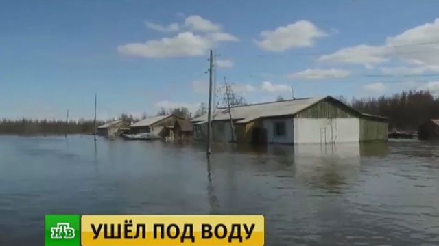 Якутский поселок почти полностью ушел под воду из-за паводка.МЧС, Якутия, наводнения, реки и озера, стихийные бедствия.НТВ.Ru: новости, видео, программы телеканала НТВ