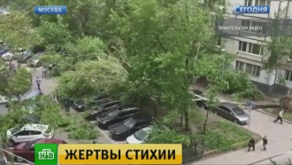Наломал дров: циклон перемещается из Москвы во Владимирскую и Калужскую области