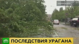 СК уточнил данные о числе жертв урагана в Московском регионе
