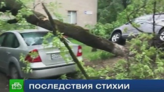 Синоптики предупредили о новой ураганной атаке на Центральную Россию