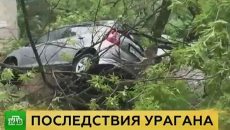 Совфед выясняет, почему не все москвичи получили предупреждения об урагане