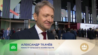 Александр Ткачёв: мы будем осваивать все новые рынки, где нас ждут