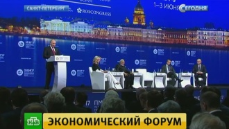 Путин: в экономике РФ началась новая фаза подъема