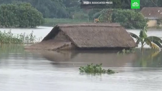 Из-за разрушительных наводнений в Индии погибли не менее 85 человек.Индия, наводнения, оползни, стихийные бедствия.НТВ.Ru: новости, видео, программы телеканала НТВ
